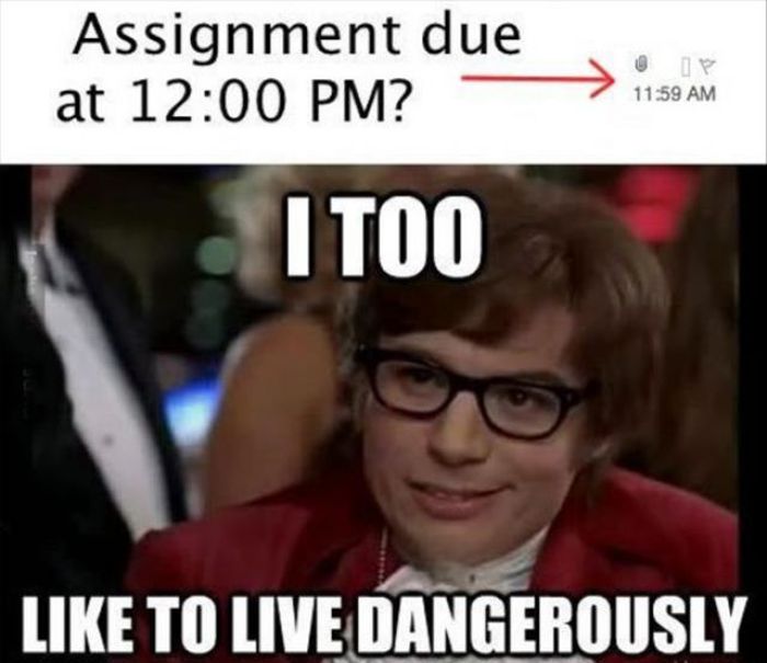 Last minute essay meme snitch