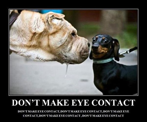 no eye contact