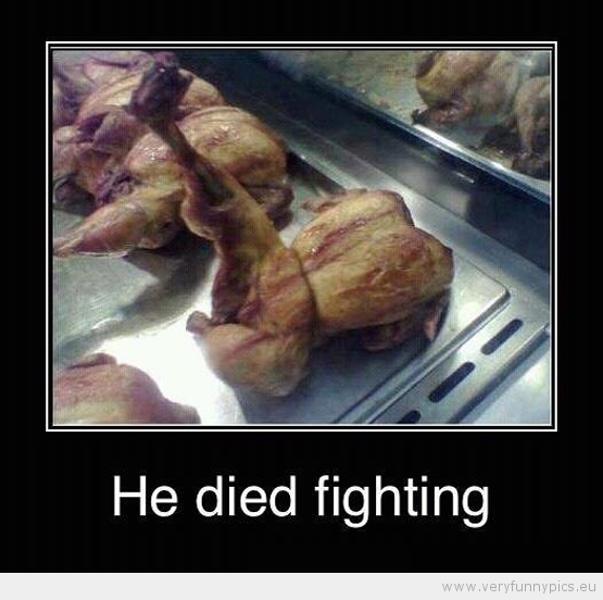 died fighting