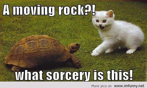 Moving-rock-sorcery