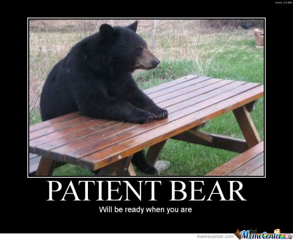 patient bear