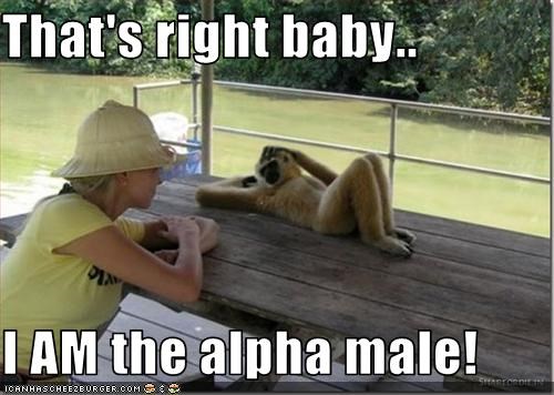 alpha male