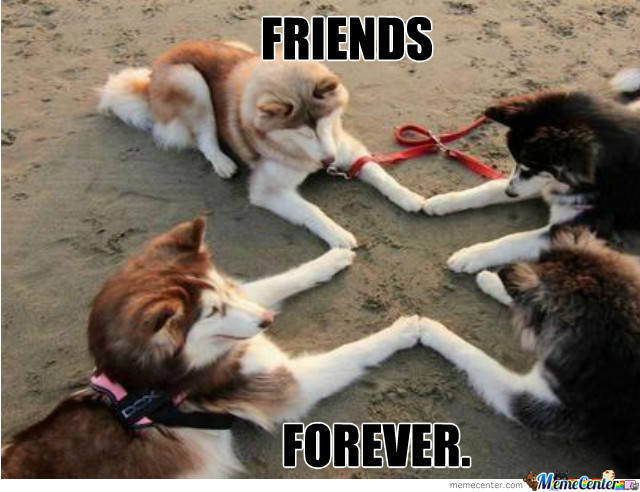 friends forever