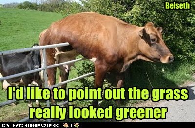 grass is greener