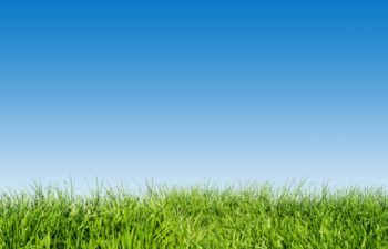 The Grass is Greener Syndrome For Ex Boyfriends