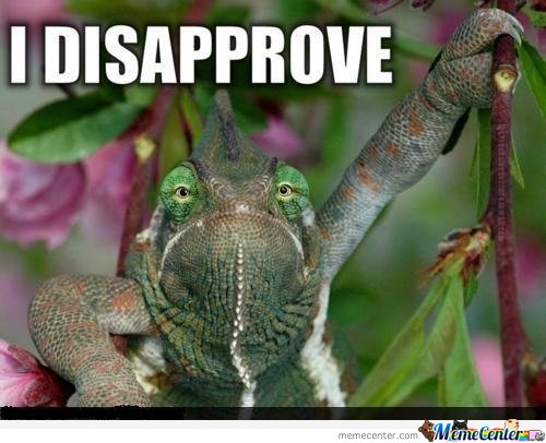 disapprove turtle