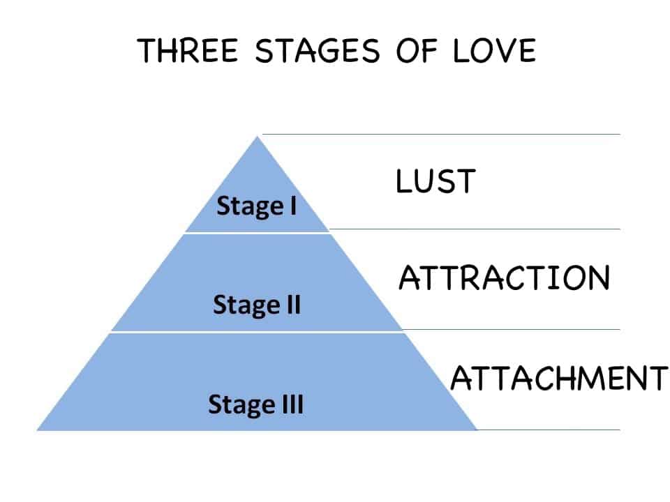 stages of love