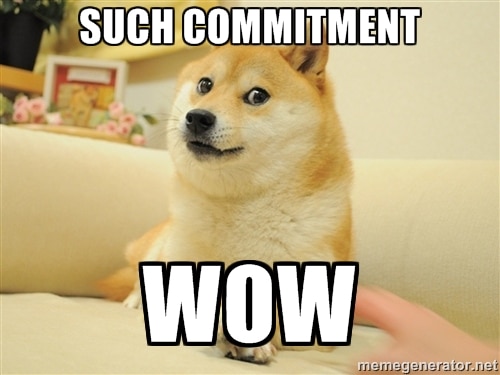 commitment dog