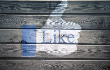 The Anatomy Of The Perfect Facebook Profile For “Ex Recovery”