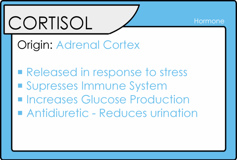 cortisol-facts