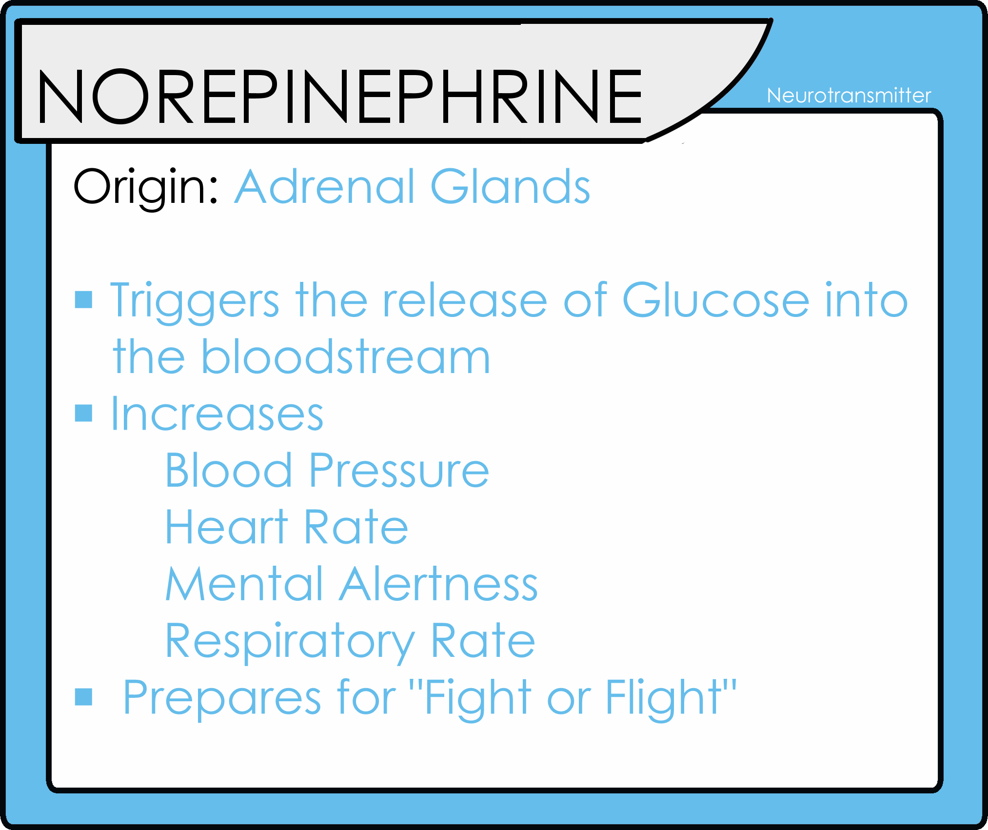 norepinephrine-facts