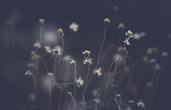 Understanding Your Breakup With Imago Therapy