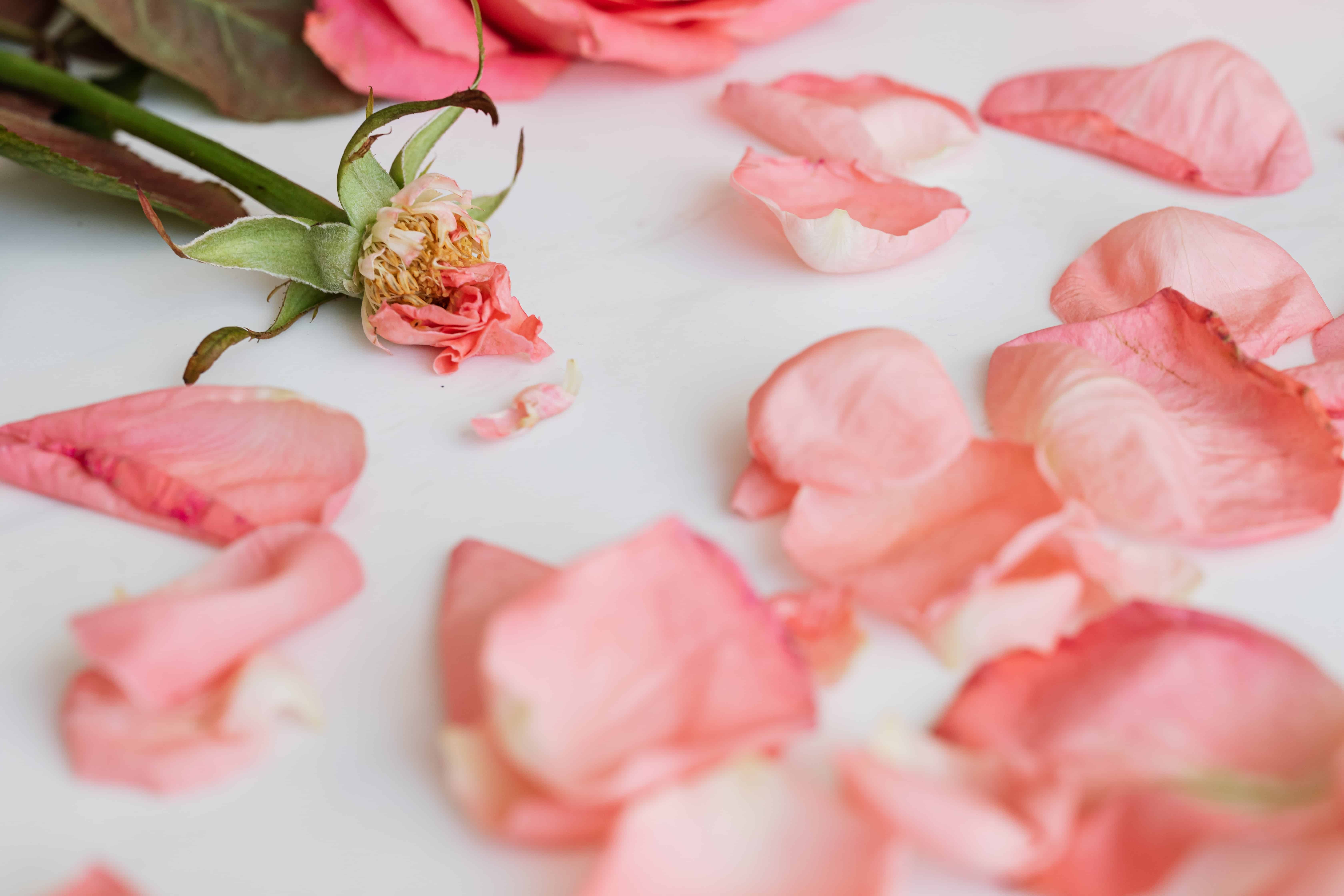 paragraphs to send to your ex boyfriend to get him back